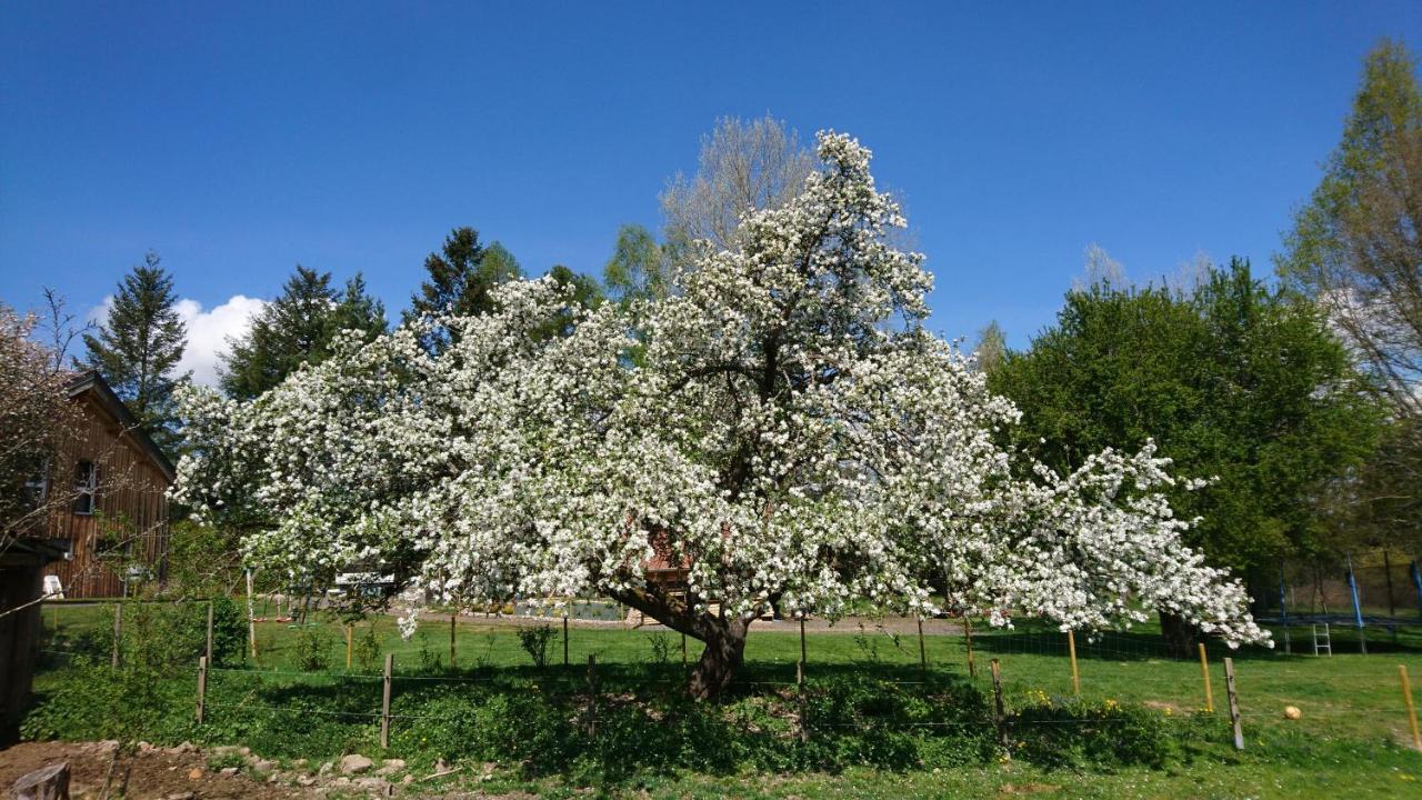 Roulotte Le Temps De Rever Bed & Breakfast Saint-Michel-sur-Meurthe Exterior foto