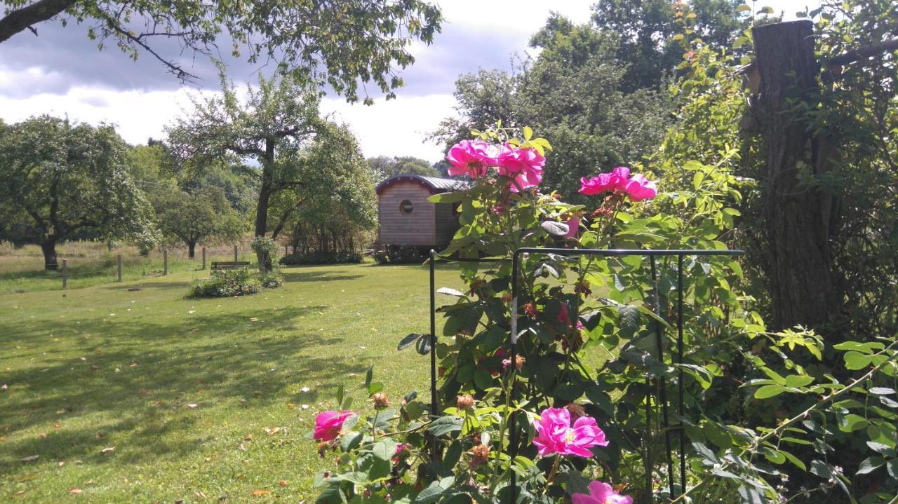 Roulotte Le Temps De Rever Bed & Breakfast Saint-Michel-sur-Meurthe Exterior foto