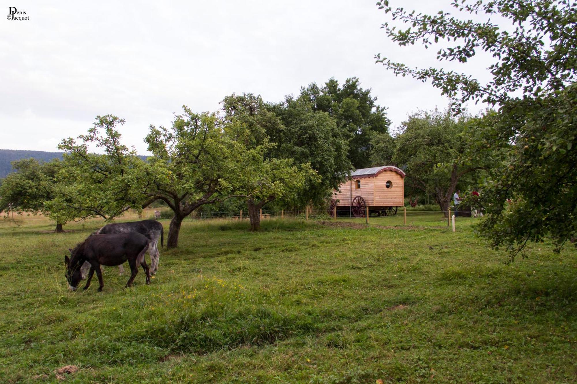 Roulotte Le Temps De Rever Bed & Breakfast Saint-Michel-sur-Meurthe Exterior foto